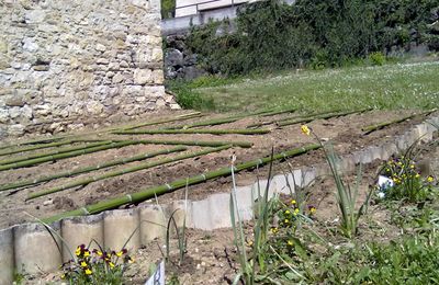 Où en est le jardin?