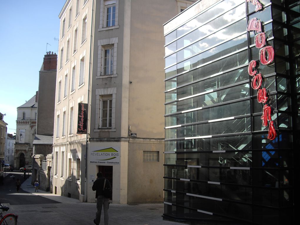 La rue de la Roë à Angers et quelques rues avoisinantes.