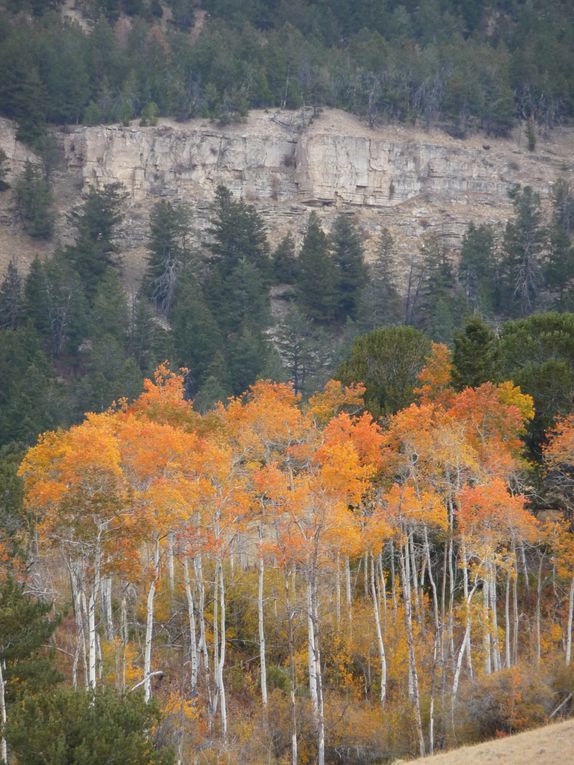 Album - 15.Yellowstone (Wyoming-octobre)