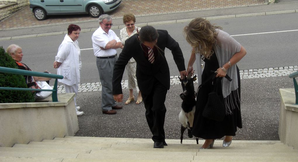 Lors du mariage du benjamin d'une fratrie, l'aîné encore célibataire doit ouvrir le cortège avec une chèvre...