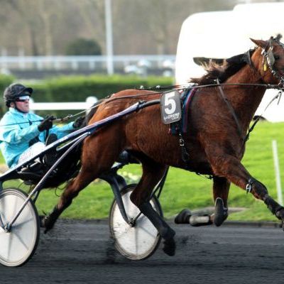 Quinté de samedi à Vincennes : à la portée D' Uno Dancer 