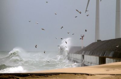 Coup de vent à Boulogne