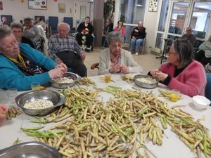 Haricots blancs 