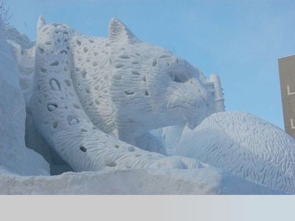 Canada - Beauté fondante