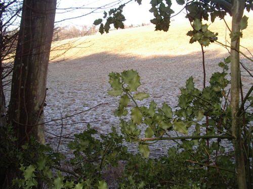 Randonnée avec une température de - 4°C et un vent d'est important à Porcheux le dimanche 1er février 2009