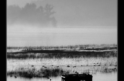 Brume, gabare = La Loire