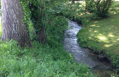 Le ruisseau de Montcel : une balade bucolique dans la campagne de Villers
