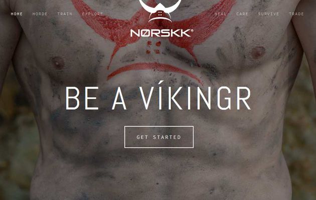 norskk.com  : Le Site qui fait de vous un "VIKINGR"  (si vous l'êtes déjà ! )