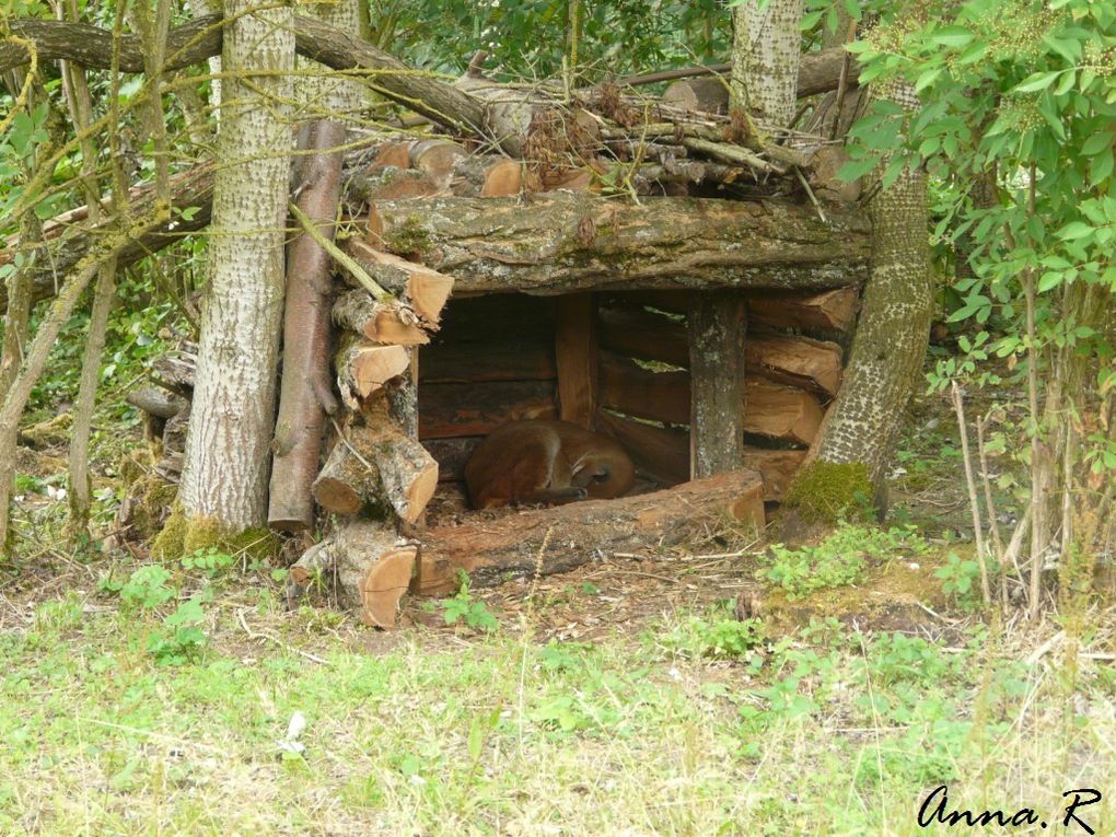 Visite du 19 juin 2011