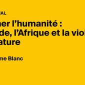 Chercher l'humanité : le monde, l'Afrique et la violence de la nature - AOC media