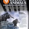 9 animaux disparus que vous devriez connaître