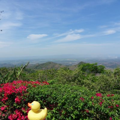 COSTA RICA : Manuel Antonio / Miramar / Playa Grande - Real - Conchal & Brasilito
