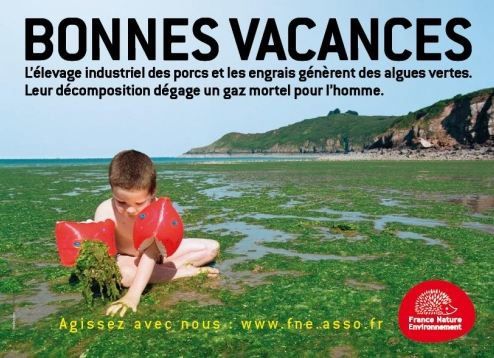 Algues Vertes - en Bretagne, le contribuable paiera pour l'agriculture intensive