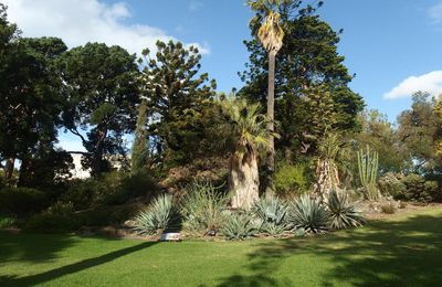 Melbourne Botanic Garden