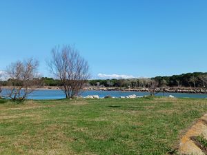 QUELQUES PHOTOS DE LA RANDONNEE DU MARDI 5 MARS - LE TOUR DU PONANT - LA GRANDE MOTTE - 15 KM - ANIMATEURS JOEL ET MARIE