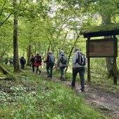Randonnée de Bussy-Saint-Georges à Ozoir-la-Ferrière - 18 km. - Carnets de r@ndos et de voy@ges...