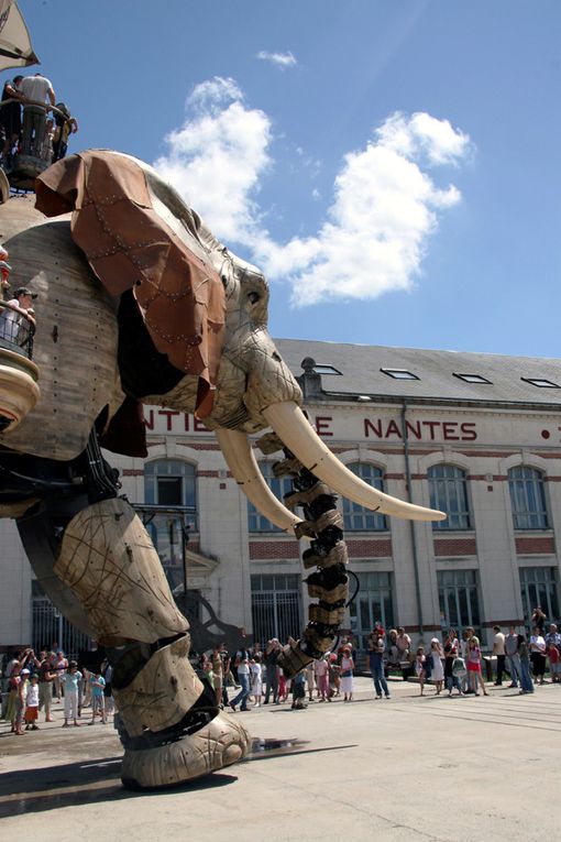 Eléphant de l'Ile de Nantes Royal de Luxe - Photos Thierry Weber Photographe La Baule Guérande