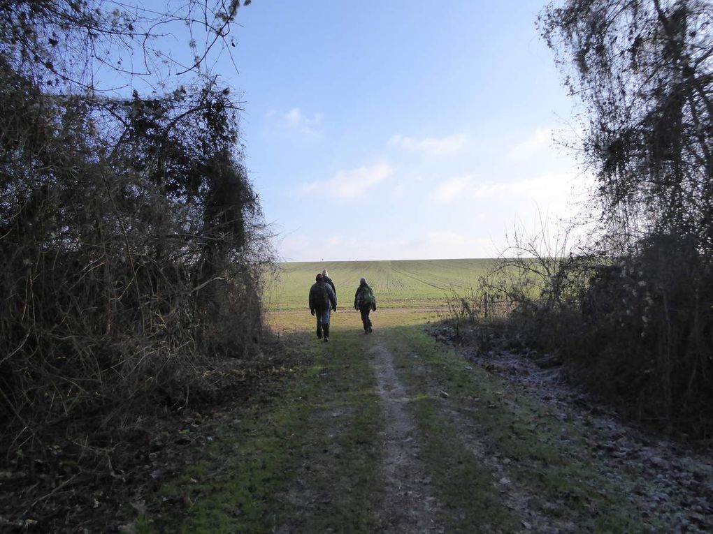 Randonnée de Boutigny à La Ferté-Alais - 16,6 km.