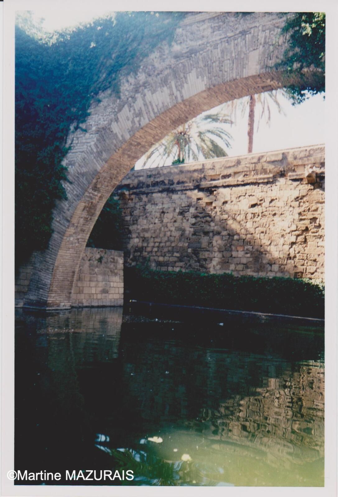 Palma Drassana