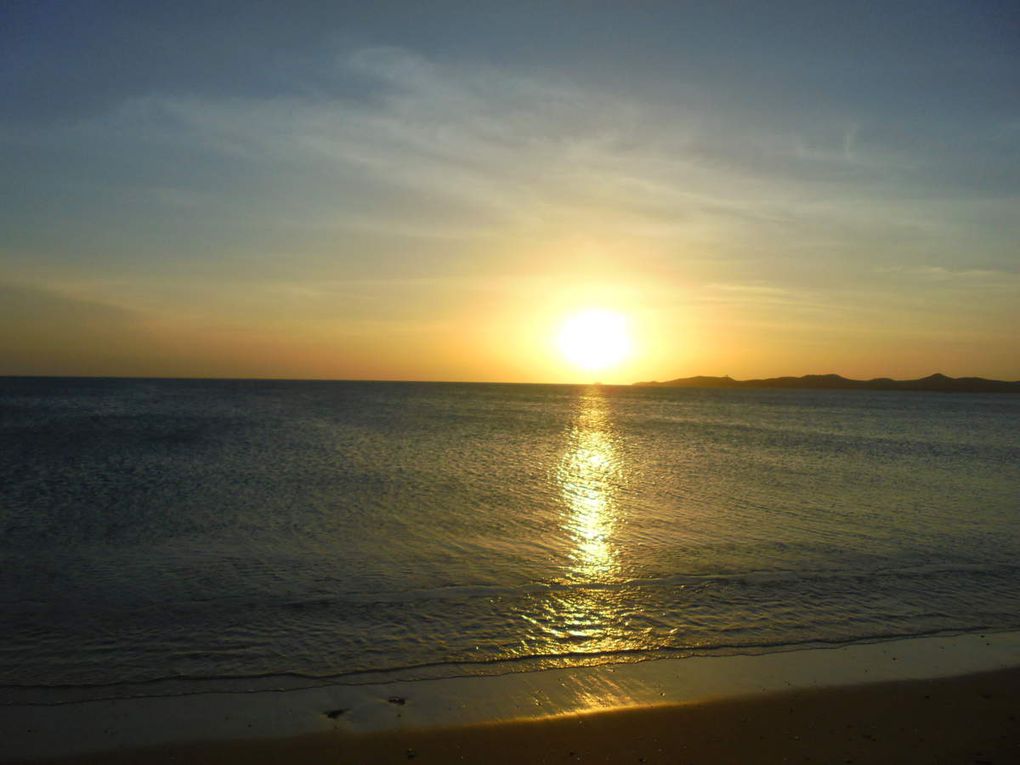 Caraïbes, plages et cocotiers