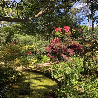 Floralies au parc floral