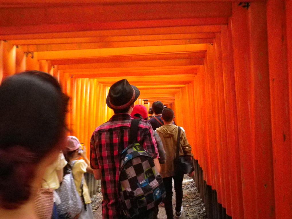 Jour 5 : Nijo-jo et Fushimi Inari-Taisha