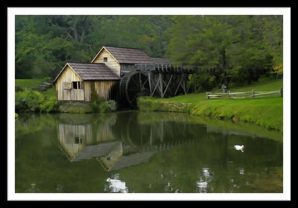 Album - Paysages et animaux