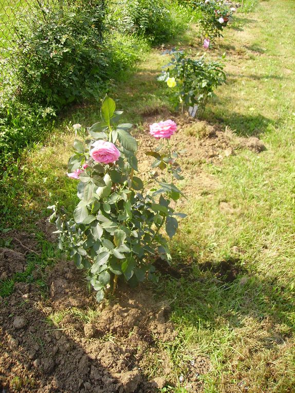 Le Jardin des senteurs, en cours de réalisation à l'Atelier de Marminos, CHS du Gers 