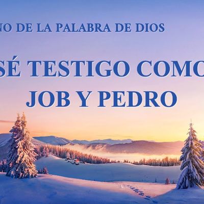 Canción cristiana | Sé testigo como Job y Pedro