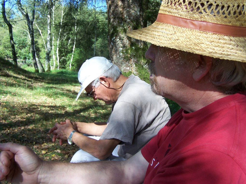 Quelques adhérents nous proposent des balades:avec Jean-Michel Gaudron, naturaliste, des balades découverte, avec Laurent Huchot des marches plus sportives, Christine Ducoux, Quince Graveson, Marie-Ange Dreyer, balade et patrimoine... presque tous