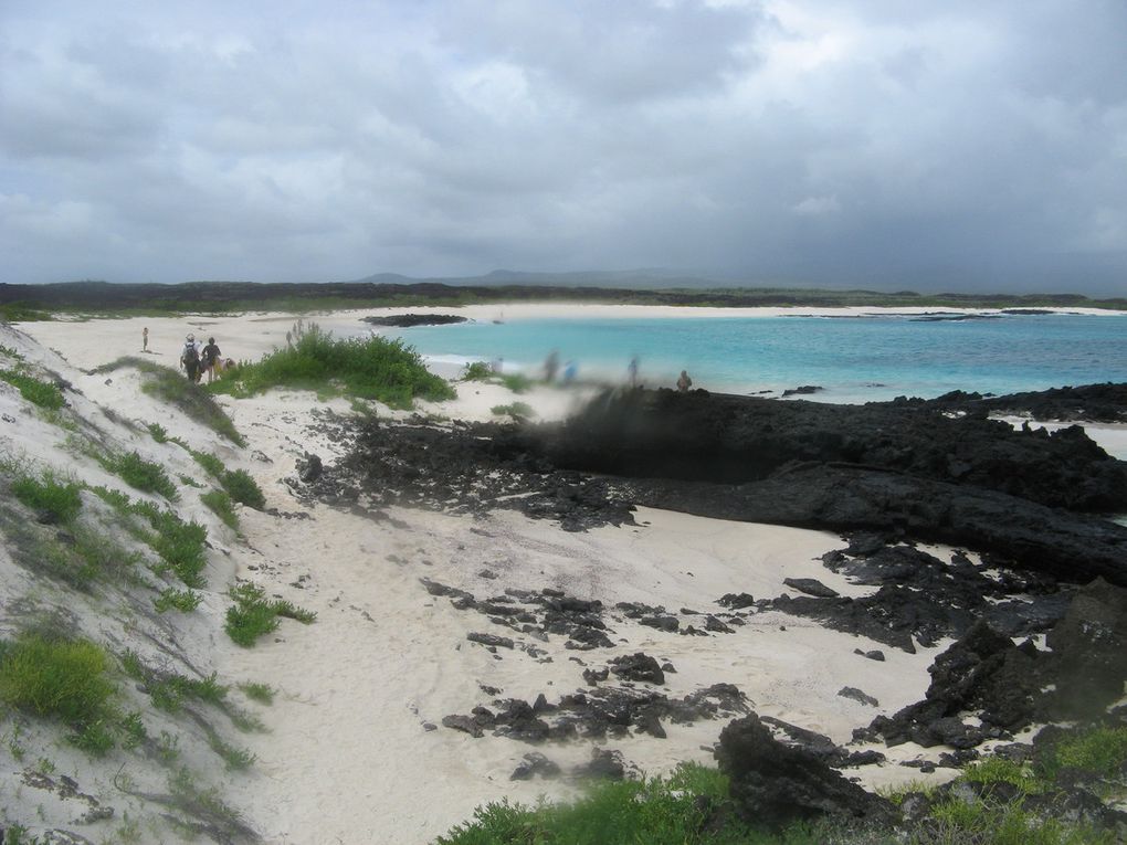 Une semaine aux Galápagos. 8/15 mai 2015