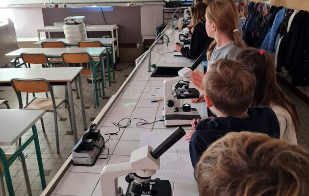 Journée d'intégration des cm2 au collège Sacré Coeur d'Estaires.