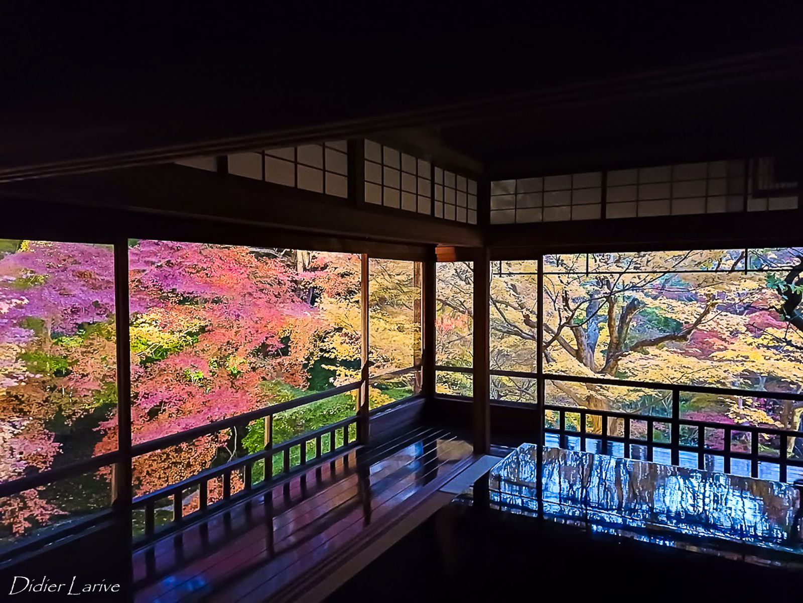 瑠璃光院 -RURIKO-IN TEMPLE- KYOTO