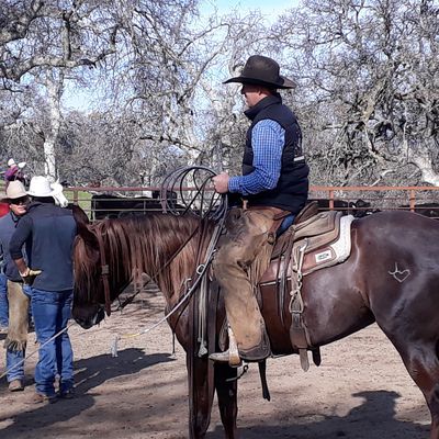 Rencontre avec des cowboys (Californie / Janvier 2020)