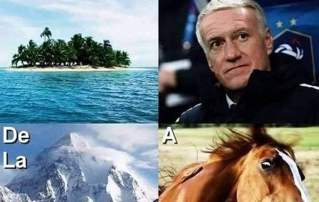 Découvrez ce rebus