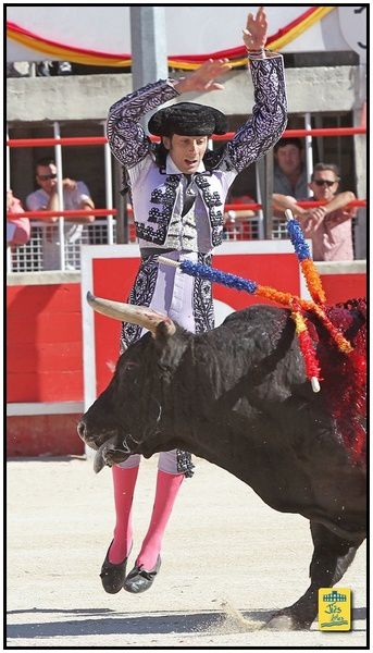 Arènes Emile Bilhau - Dimanche 23 juin 2013 à 17h30 - Corrida de 6 Toros de l ganderia Baltasar Iban pour Antonio Ferrera, Javier castano et Camille Juan - Cavalerie Heyral - Musique Chcuelo II