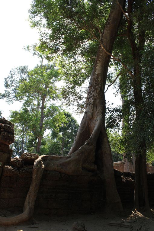 Album - Cambodge