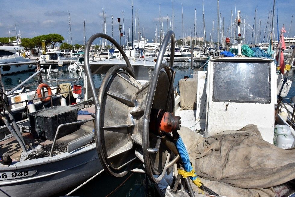 PAPILLES ET PUPILLES EN EVEIL AU MARCHE D’ANTIBES (2)