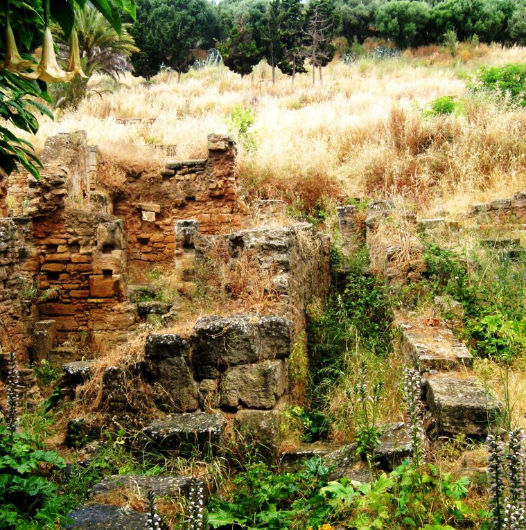 Esprit de lieux mémorisés en photographies prises par Tayyibi A.