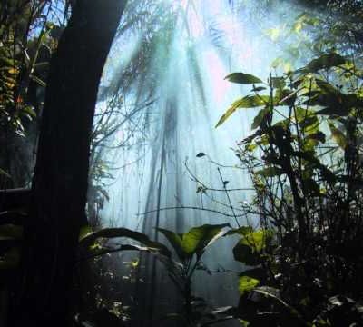 Anniversaires musicaux du 30 décembre