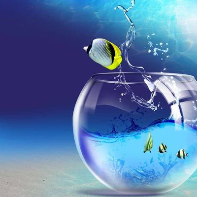 Poètes des profondeurs : Ma solitude -  Christine Chaudet