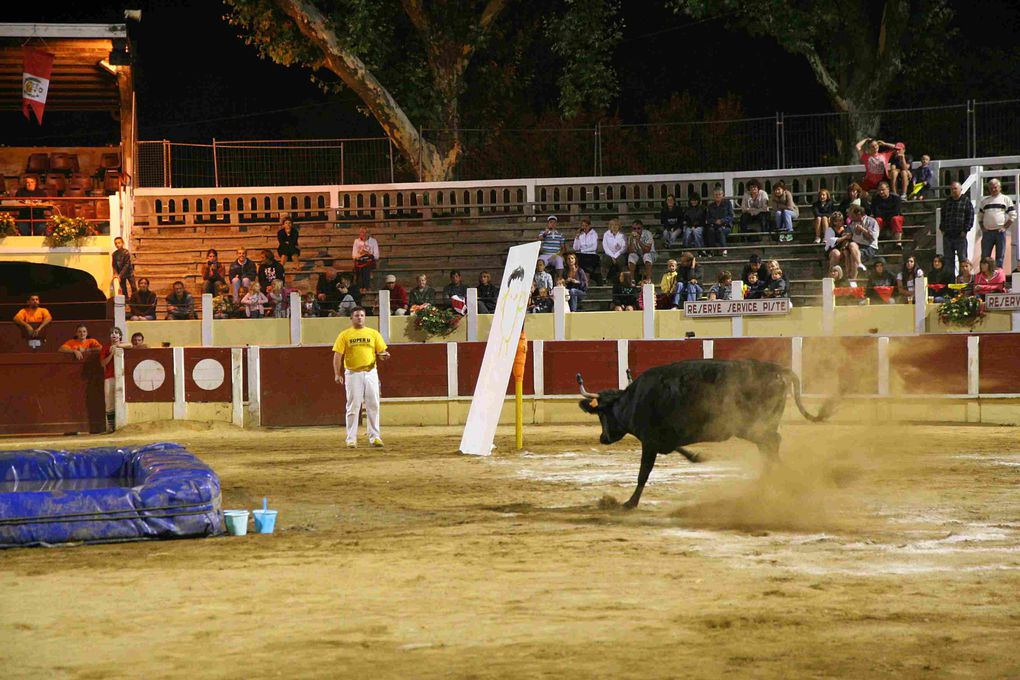 Arènes Parentis 13-08-2010
Croque-vache contre les Pompiers!!