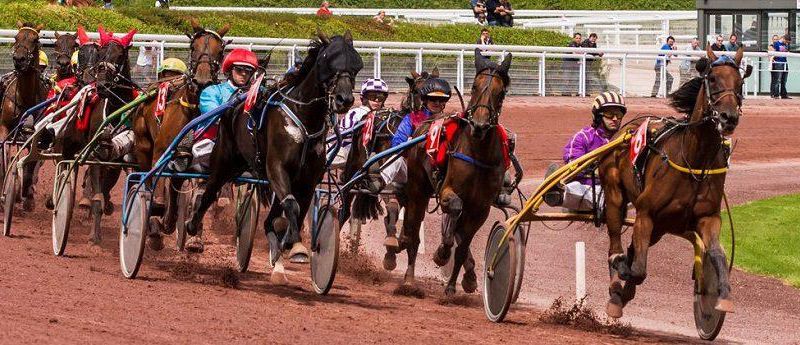 VENDREDI 15 JANVIER 2021-VINCENNES