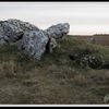 Dolmen des geniévres à Yerville (28)