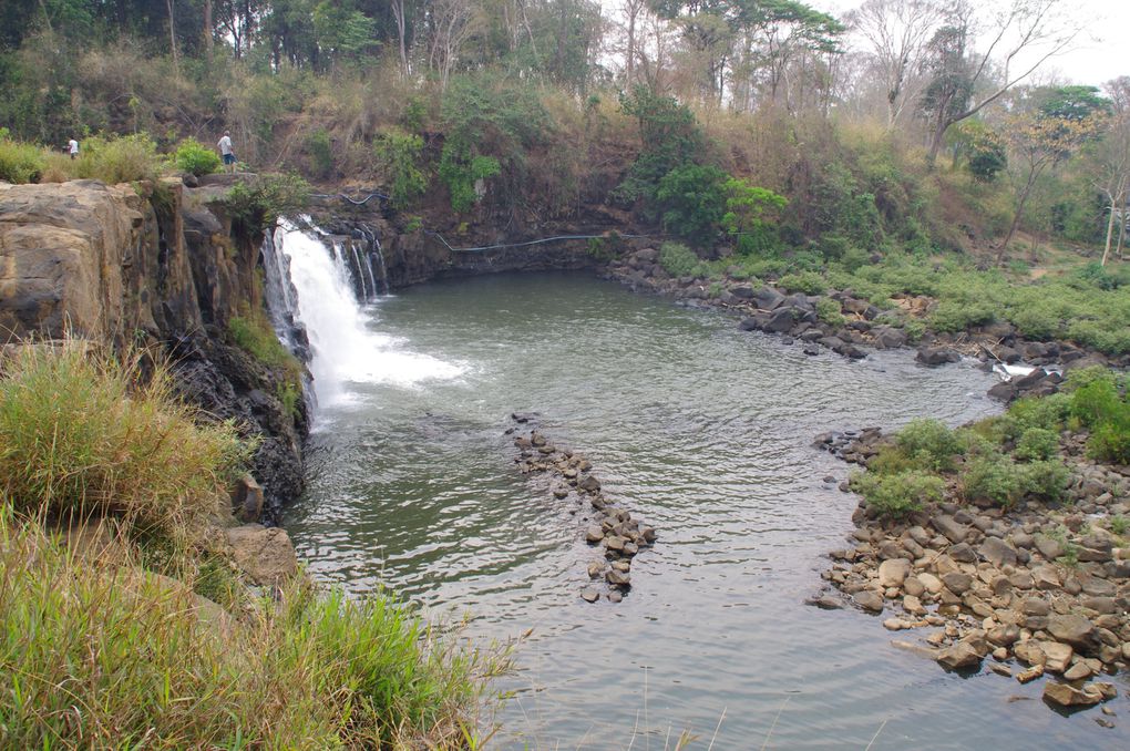 Album - Plateau-des-bolovens