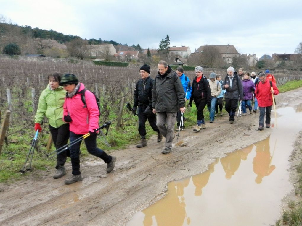 En partant de la Maison de Marsannay.