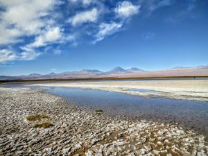 Tacna, Arica, Atacama, Machuca, Chuquicamata, abracadabra! 28 septembre/4 octobre 2016 