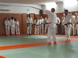 Belle soirée de judo... avec les &quot;techniques interdites&quot;