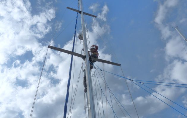 pendant que nous continuons la préparation du bateau ,Noé prend de la hauteur