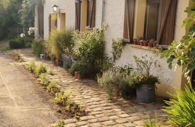 4 septembre : plantations devant la maison en sol sec